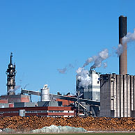 Wood piles in front of paper mill, Sweden